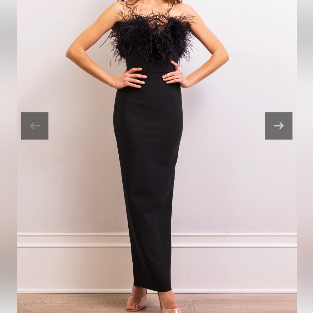 Lisa Marée Art of Silence Feathered Maxi Dress